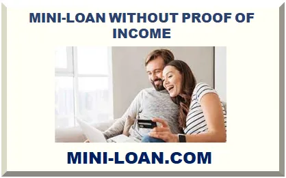 SMALL LOAN WITHOUT PROOF OF INCOME